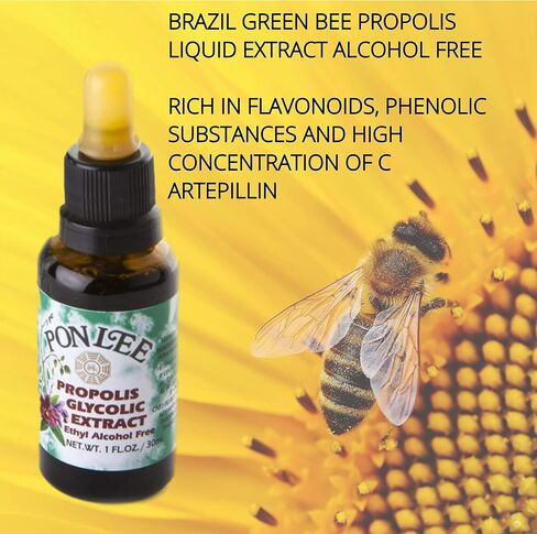 Brazil Green Bee Propolis Liquid Extract No Alcohol 30ML 1 Pack in Saudi Arabia