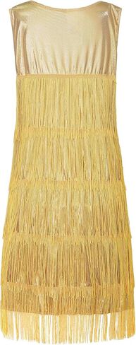 JerrisApparel Girls Tassel Latin Dance Dress Fringe Flapper Costume Dress with Headband in Kuwait