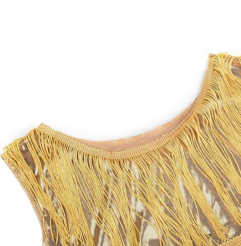 JerrisApparel Girls Tassel Latin Dance Dress Fringe Flapper Costume Dress with Headband in Kuwait