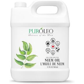 PUROLEO NEEM Oil 128 Fl Oz/3784 ML (Packed In Canada) 100% Pure and Natural Neem Oil for Multipurpose Use | Neem Oil extracted from NEEM Plante Chemical free Neem Oil Spray