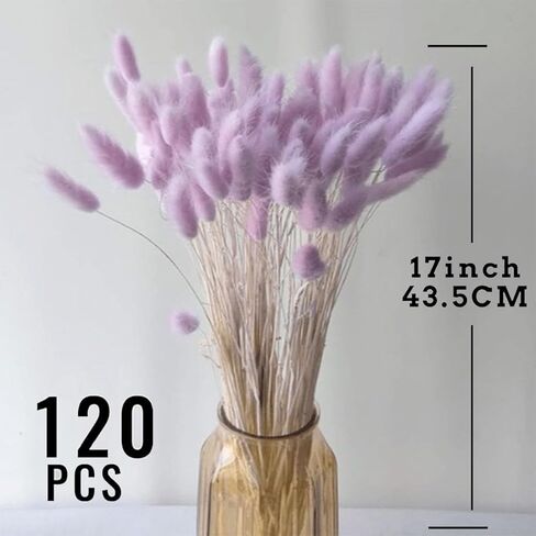 120 قطعة من زهور بامباس العشبية المجففة بذيل الأرنب الأزرق للمزهرية وزهور بوهو المجففة وأنفاس الأطفال وديكور الزفاف والزهور الجافة للمزهرية (أزرق 120 قطعة) in Kuwait