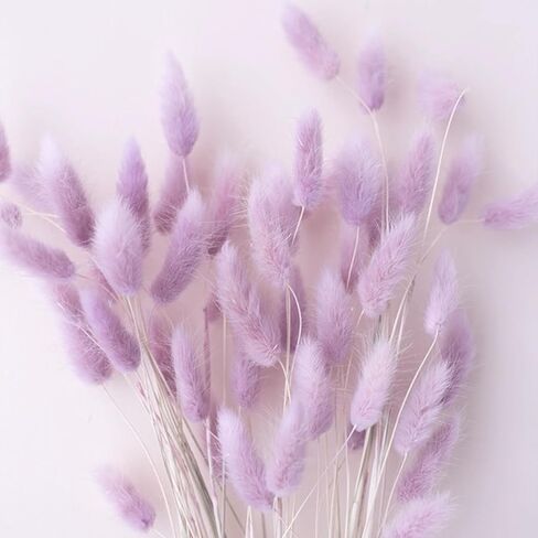 120 قطعة من زهور بامباس العشبية المجففة بذيل الأرنب الأزرق للمزهرية وزهور بوهو المجففة وأنفاس الأطفال وديكور الزفاف والزهور الجافة للمزهرية (أزرق 120 قطعة) in Kuwait