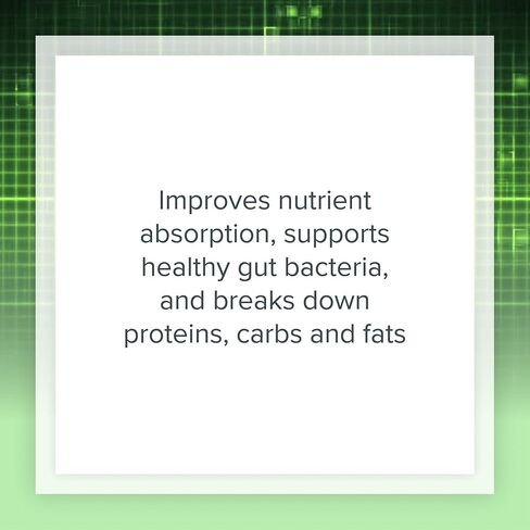 Natural Factors, High Potency Multi Enzyme Vegetarian Formula, Plant-Based Digestive Aid, 120 Capsules in Saudi Arabia
