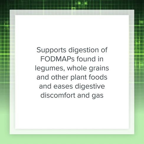 Natural Factors, High Potency Multi Enzyme Vegetarian Formula, Plant-Based Digestive Aid, 120 Capsules in Saudi Arabia