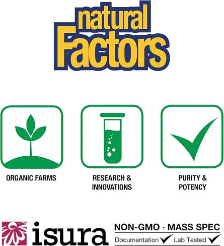 Natural Factors, High Potency Multi Enzyme Vegetarian Formula, Plant-Based Digestive Aid, 120 Capsules in Saudi Arabia