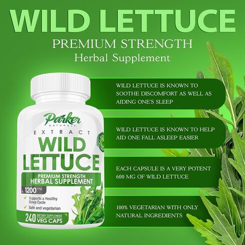 Wild Lettuce Capsules, 1200mg Herbal Sleep Supplement with 4:1 Wild Lettuce Extract, Lactuca Virosa Natural Sleep Support Supplement, 120 Capsules in Kuwait