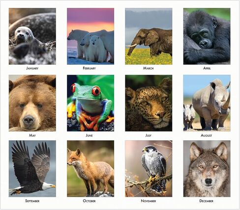House of Doolittle 2024 Monthly Desk Pad Calendar, Earthscapes Seascapes, 22 x 17 inches, January - December (HOD138-24) in Saudi Arabia