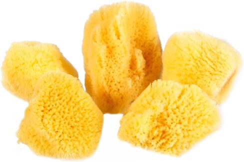 Natural Yellow Sea Silk Sponges 1,5 Inches Pack of 5 in an Organza Bag. Great for Cosmetic Use: Makeup Removal, Facial Cleansing & Cleaning. Softly Rough but Not Skin Irritating in Saudi Arabia