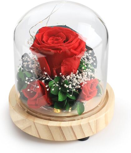 Eternal Beauty: Enchanting LED-Lit Rose Domes - Fast Delivery for Birthdays Anniversaries and Every Special Occasion for Mom Grandma Sister Girlfriend or Wife(Purple Rose) in Saudi Arabia