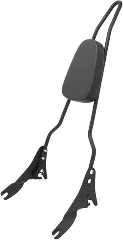 Detachable Passenger Backrest Sissy Bar for Harley Touring Road King Street Glide Electra Glide Road Glide FLHR FLHX FLHT FLTR 2009-2024, Chrome in Saudi Arabia