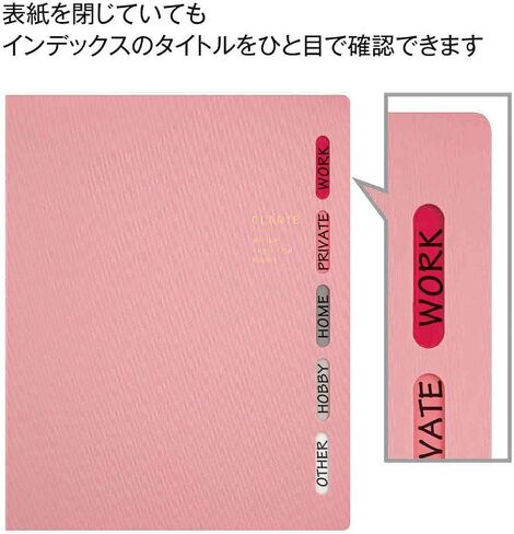 Maruman CLARTE B5 Size 26-Ring Binder, 5 Index Window Cover, with 5-tab dividers + 10 Loose Leaf Papers + 1 Clear Pocket, Pink, 1 EA (F311-08) in Saudi Arabia