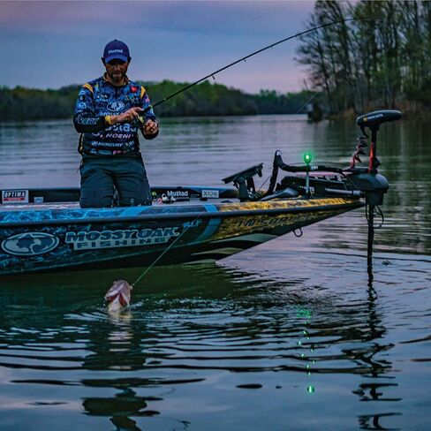 Mustad Tungsten TitanX Flipping Weight in Saudi Arabia