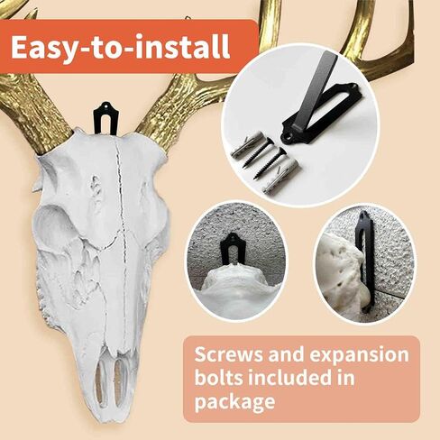 3 Pcs European Mount Skull Hanger, Stainless Steels Deer Skull Mount Hanger, Euro Mount Skull Hanger, Deer Head Wall Mount Hook for Antler, Cow Elk Skull, Black in Saudi Arabia