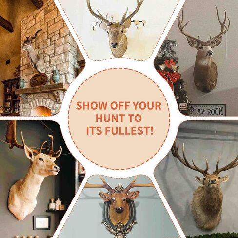 3 Pcs European Mount Skull Hanger, Stainless Steels Deer Skull Mount Hanger, Euro Mount Skull Hanger, Deer Head Wall Mount Hook for Antler, Cow Elk Skull, Black in Saudi Arabia