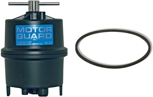 Motor Guard Air Filters - 1/4 Npt & Paint Gun (M30 & D12-2) in Saudi Arabia