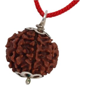 Jaipur Gemological Lab Certified 4 Mukhi Rudraksha bead pendant/Four Mukhi/ 4 Face(4 FACE, Rare Bead Size, Unisex) - 100% Natural Brown Bead with Certification for Healing/Puja/Spiruality