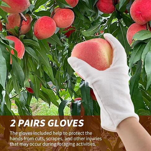 Foraging Bag in Kuwait