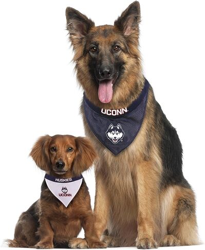 Pets First Collegiate Pet Accessories, Reversible Bandana, USC Trojans, Large/X-Large in Saudi Arabia