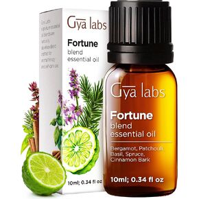 Gya Labs Happy Holiday Essential Oil Blend (0.34 fl oz) - Comforting & Uplifting, Perfect for Festive Season