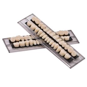 56Pcs Dental Synthetic Acrylic Teeth Resin Denture False Teeth for Halloween Horror Prop 23 A2(28 Pcs/Set)