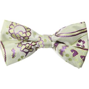 Dan Smith Purple Mens Classic Bowtie Poly 25.6"-Neck-Size Clip-On Adjustable Pre-Tied Bowtie Blue Green