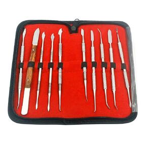 AA PRO Dental LAB Equipment Dental Dentist Sculpture KIT Wax Carver Set,10 PCS/Set A+ Quality