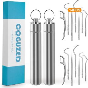 14pcs Stainless Steel Toothpick Set, Reusable Metal Toothpicks for Teeth with Dispenser, Portable Travel Toothpick Tool for Outdoor Picnic Camping