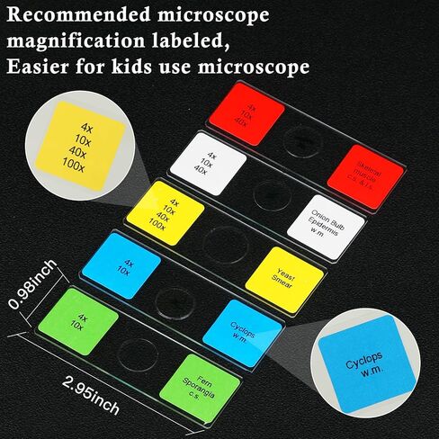Microscope Slides for Kids Ages 8+, 60 Prepared Microscope Slides with Specimens of Animals Plants Microbe Cells and Tissue Anatomy, Customized Prepared Slides for 3rd-8th Grade Kids Students in Saudi Arabia