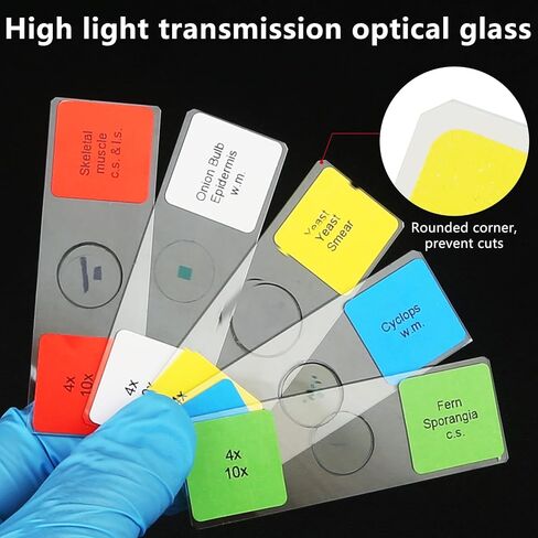 Microscope Slides for Kids Ages 8+, 60 Prepared Microscope Slides with Specimens of Animals Plants Microbe Cells and Tissue Anatomy, Customized Prepared Slides for 3rd-8th Grade Kids Students in Saudi Arabia