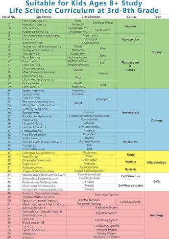 Microscope Slides for Kids Ages 8+, 60 Prepared Microscope Slides with Specimens of Animals Plants Microbe Cells and Tissue Anatomy, Customized Prepared Slides for 3rd-8th Grade Kids Students in Saudi Arabia
