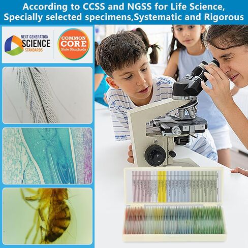 Microscope Slides for Kids Ages 8+, 60 Prepared Microscope Slides with Specimens of Animals Plants Microbe Cells and Tissue Anatomy, Customized Prepared Slides for 3rd-8th Grade Kids Students in Saudi Arabia
