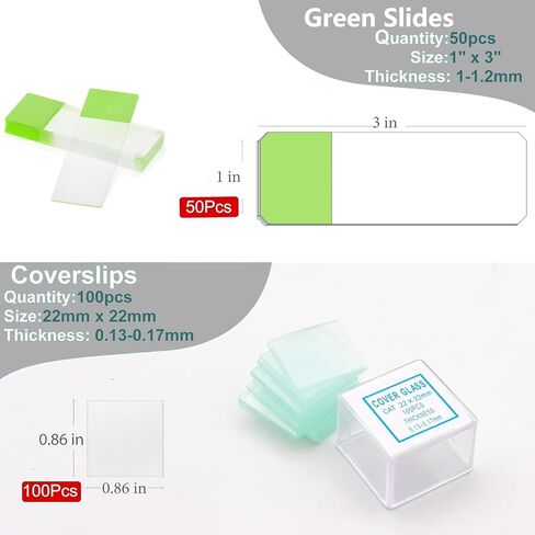 50 Pcs Frosted Microscope Slides with 100 Pcs 22x22mm Square Coverslips Cover Glass for Microscopes in Kuwait