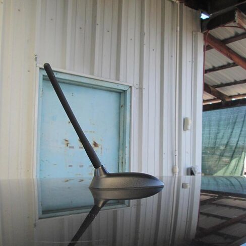 Antenna for Hyundai Santa Fe Tucson Accent Elantra Touring Entourage, Short Car Roof Hyundai Antenna Replacement for AM FM Radio Reception in Kuwait