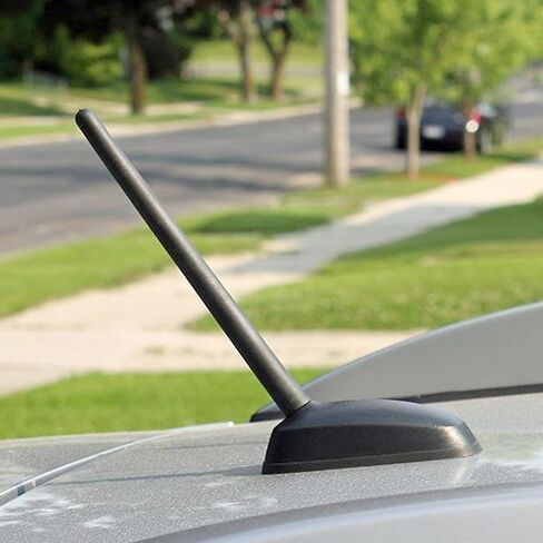 Antenna for Hyundai Santa Fe Tucson Accent Elantra Touring Entourage, Short Car Roof Hyundai Antenna Replacement for AM FM Radio Reception in Kuwait