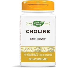 Nature's Way Choline, 500 mg, 100 Tablets, Pack of 2