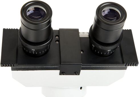 Celestron – Celestron Labs – Binocular Head Compound Microscope – 40-1000x Magnification – Adjustable Mechanical Stage – Includes 10 Prepared Slides in Kuwait