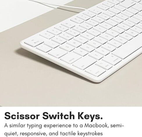 Macally Ultra-Slim USB Wired Keyboard with Number Keypad for Apple Mac Pro, MacBook Pro/Air, iMac, Mac Mini, Laptop Computers, Windows Desktop PC Laptops, Silver (SLIMKEYPROA) in Kuwait