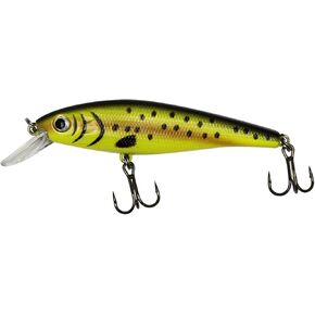 حزمة مغناطيس سمك السلمون المرقط in Kuwait