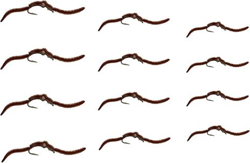 12pc Bead Head San Juan Worm Fly Fishing Flies, 3 Size Assortment Flies for Fly Fishing 10,12,14 (4 of Each Size), Fly Fishing Flies for Trout | Bass Flies | Streamer Flies in Kuwait