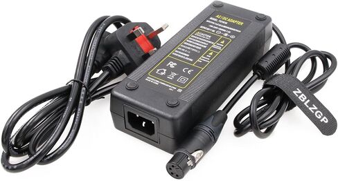 XLR 4 Pin 16V 10A AC DC Power Supply Adapter, Professional 160W Camera Power Charger for Venice 2 Burano Sony PMW-F5 PMW-F55 PMW-F3 Canon C300 III C400 C500 II C700 Panasonic HPX370 VariCam LT in Saudi Arabia
