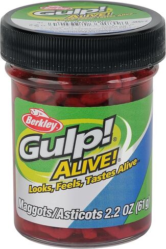 Berkley Gulp! Alive! Maggots in Saudi Arabia