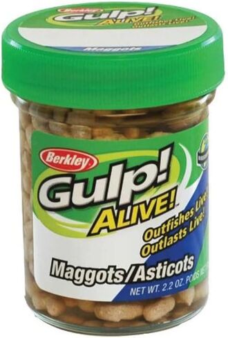 Berkley Gulp! Alive! Maggots in Saudi Arabia