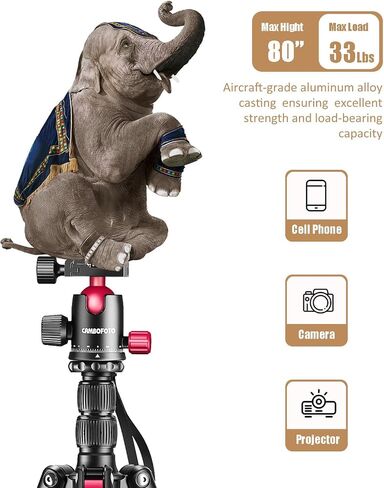 CAMBOFOTO 80"/205cm Camera Tripod, Aluminum Ball Head Tripod for Camera | Travel Tripod with 1/4" QR plate, Detachable Monopod, 33Lbs Load, for DSLR/Camcorder/Binoculars/Telescope/Spotting Scope in Saudi Arabia