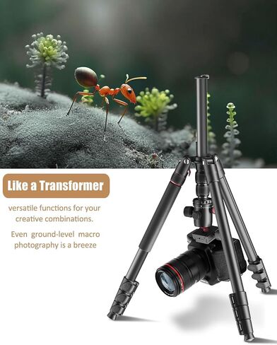 CAMBOFOTO 80"/205cm Camera Tripod, Aluminum Ball Head Tripod for Camera | Travel Tripod with 1/4" QR plate, Detachable Monopod, 33Lbs Load, for DSLR/Camcorder/Binoculars/Telescope/Spotting Scope in Saudi Arabia