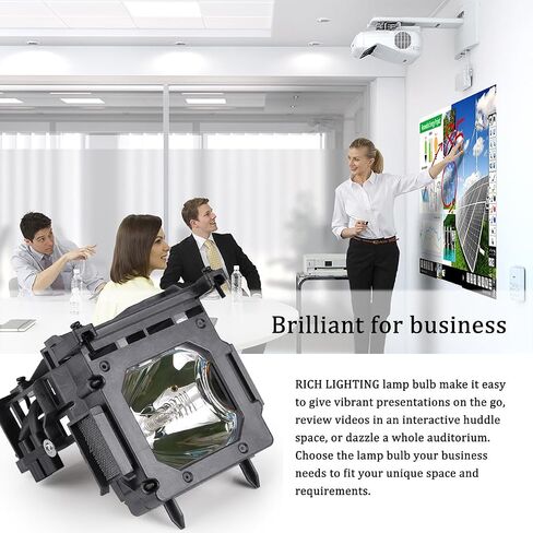 RICH LIGHTING Projector Lamp Bulb for EPSON ELPLP96/ELPLP97 Home Cinema 2150 2100 1060 660 760HD TW5700 PowerLite 992F S39 W39 X39 EX3260 EX5260 EX9210 EX7260 VS250 VS260 VS350 V13h010l96 Replacement in Kuwait