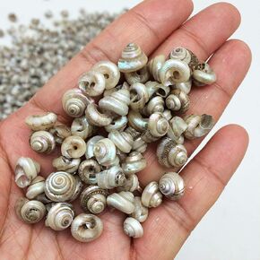 PEPPERLONELY Tiny Pearl Malabar turbos Sea Shells, 5 OZ Apprx. 1000+ PC Shells, 1/4 Inch ~ 5/8 Inch