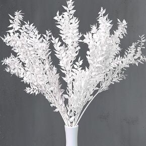 Kocat Dried White Flowers - Realistic Italian Ruscus Greenery - Exquisite Dried Floral Stems for Vase Decoration - Boho Flowers & Dry Plants for Home Decoration, 10 Pachysandr