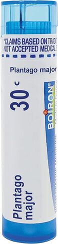 Boiron Plantago Major 30C Md 80 Pellets for Children bedwetting or Dental Pains in Saudi Arabia