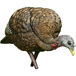 AVIAN-X LCD Feeder Hen Turkey Decoy | Durable Realistic Lifelike Collapsible Standing Hunting Decoy with Carry Bag & Stake, AVX8007