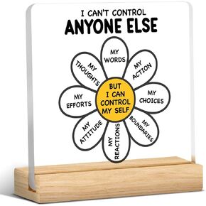 Mental Health Desk Decor I Can Control Acrylic Desk Plaque Sign I Cannot Control Clear Desk Decorative Sign for Therapy Office School